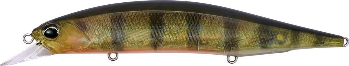 CZA3146 Ghost Gold Perch