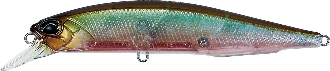 GEA3006 Ghost Minnow