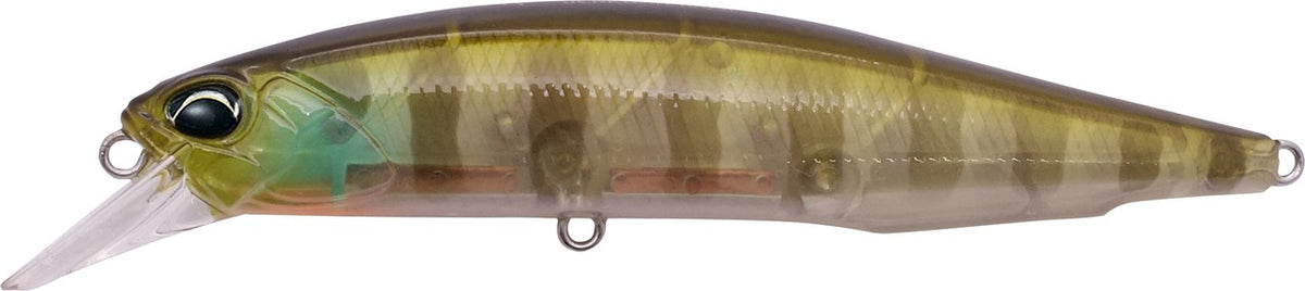 CCC3158 Ghost Gill