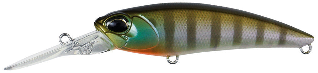 CCC3158 Ghost Gill