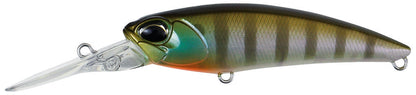 CCC3158 Ghost Gill