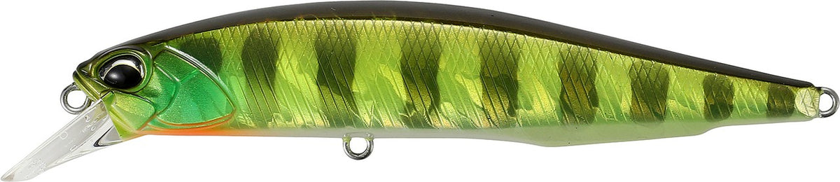 AJA3055 Chart Gill Halo