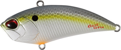 ACC3083 American Shad