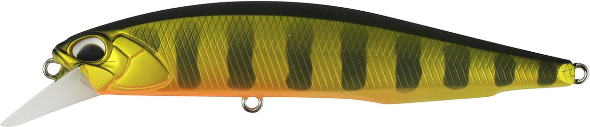 ASA3146 Gold Perch
