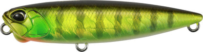 AJA3055 Chart Gill Halo