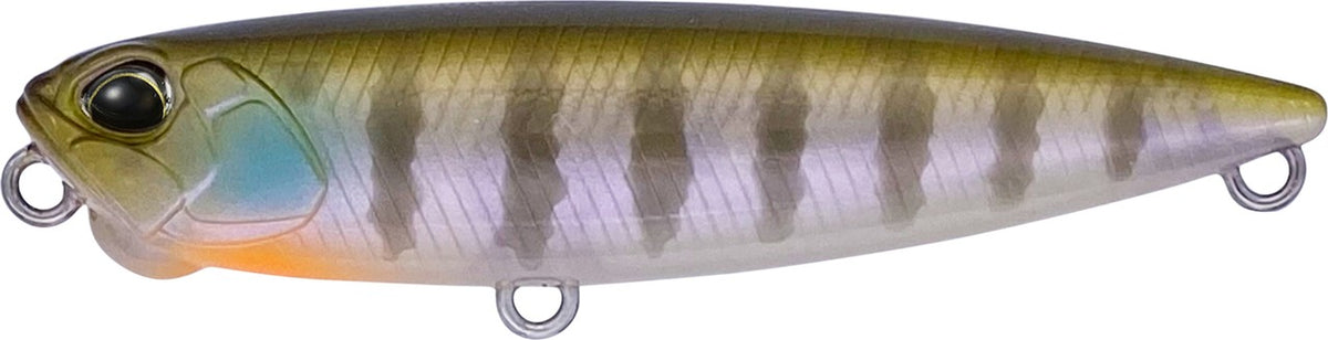 CCC3158 Ghost Gill