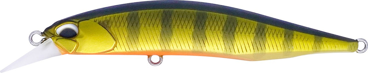 ASA3146 Gold Perch