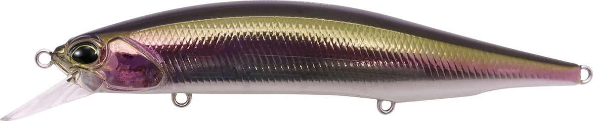 CRA4036 Rainbow Trout HM