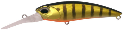 ASA3146 Gold Perch