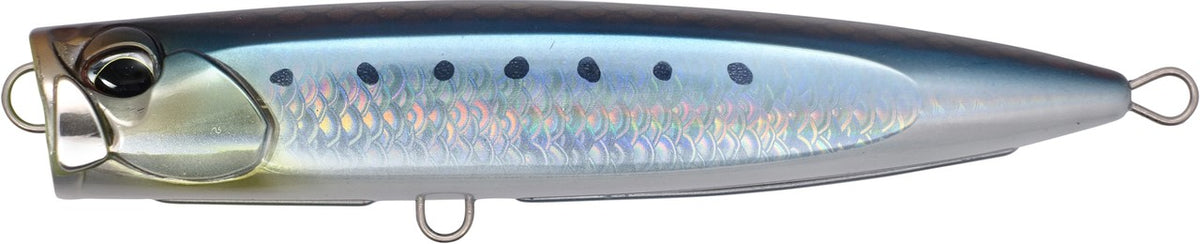 CYA0860 Scaled Sardine