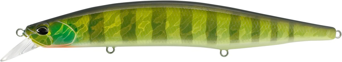 AJA3055 Chart Gill Halo