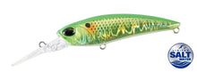 REALIS SHAD 62DR SP SW