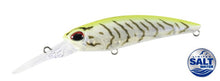 REALIS SHAD 62DR SP SW