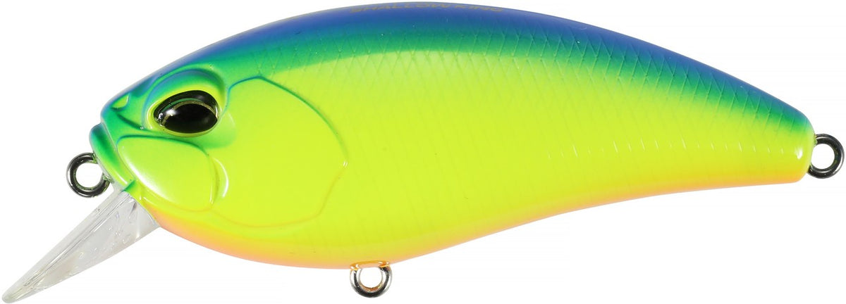 ACC3016 Blue Back Chart