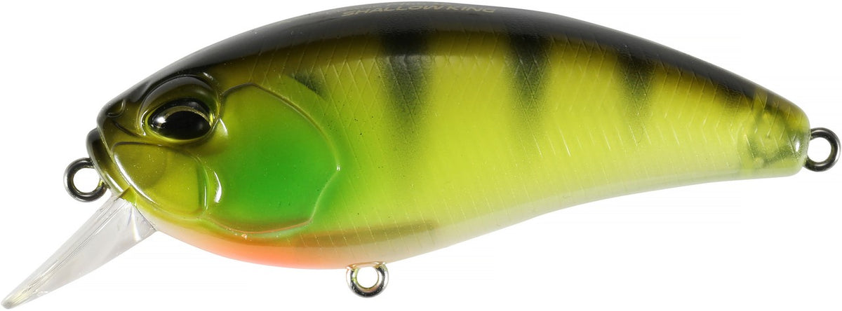 CCC3055 Chart Gill