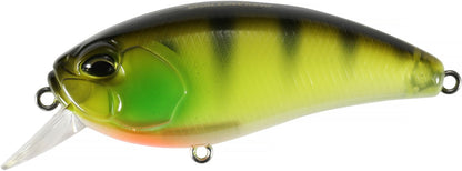 CCC3055 Chart Gill