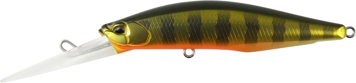 ASA3146 Gold Perch