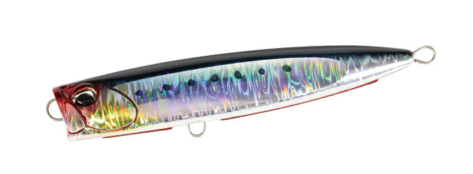 CPB0054 Genkai Sardine