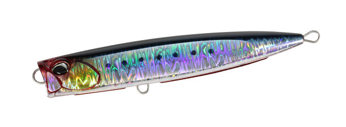 CPB0054 Genkai Sardine