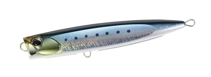 CYA0860 Scaled Sardine