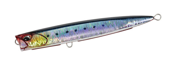 CPB0054 Genkai Sardine