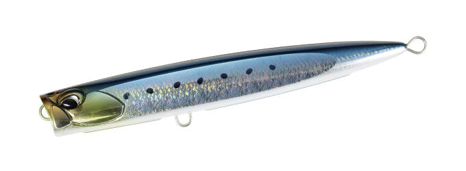 CYA0860 Scaled Sardine