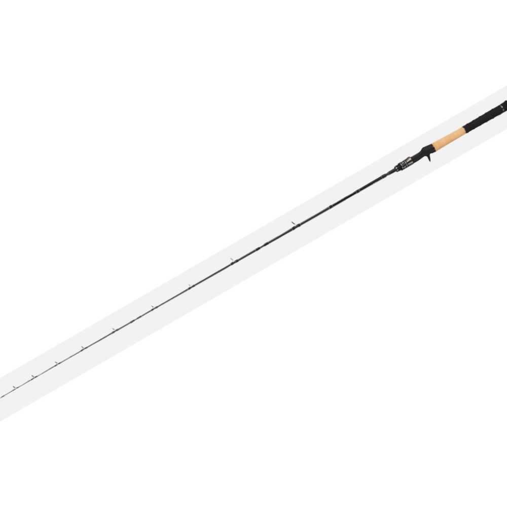Casting Rod TAILWALK NAMAZON MOBILLY C584XH - Travel 4 Pieces